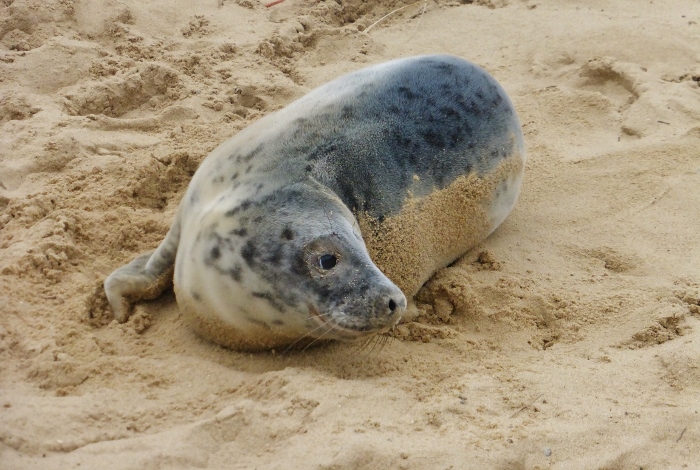 Натиснете снимката за да я уголемите

Име:1 (1) (700x470).jpg
Прегледи:1
Размер:253.3 КБ
ID:5709836