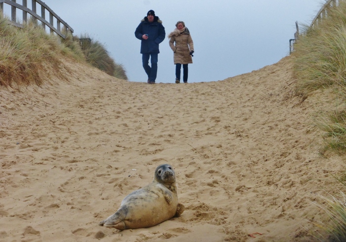 Натиснете снимката за да я уголемите

Име:1 (700x489).jpg
Прегледи:1
Размер:248.9 КБ
ID:5709837