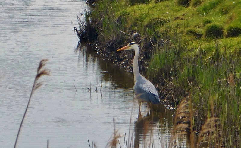 Натиснете снимката за да я уголемите

Име:1.jpg
Прегледи:1
Размер:299.0 КБ
ID:5714711