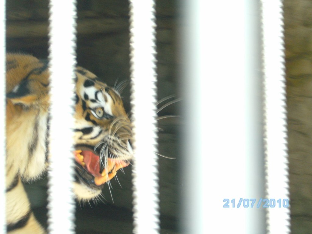 Натиснете снимката за да я уголемите

Име:SANY0959.jpg
Прегледи:1
Размер:82.4 КБ
ID:5461470