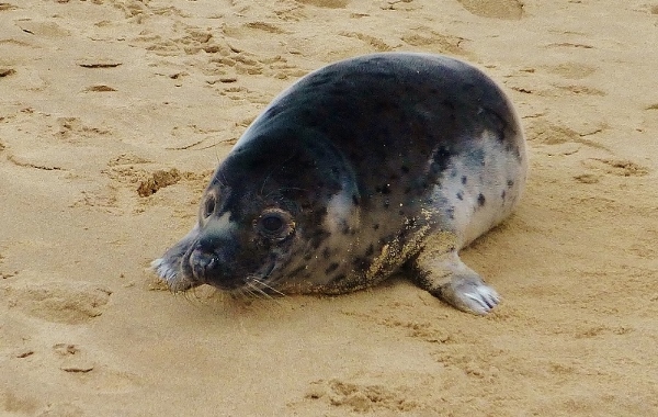 Натиснете снимката за да я уголемите

Име:1 (3).jpg
Прегледи:1
Размер:195.0 КБ
ID:5640860