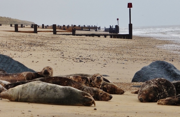 Натиснете снимката за да я уголемите

Име:1 (10).jpg
Прегледи:1
Размер:193.6 КБ
ID:5640866