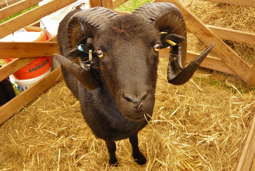 Натиснете снимката за да я уголемите

Име:1.jpg
Прегледи:1
Размер:440.4 КБ
ID:5722628