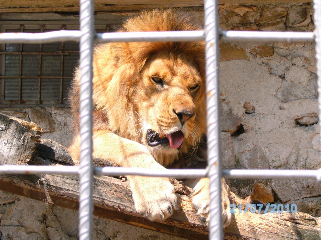 Натиснете снимката за да я уголемите

Име:SANY0950.jpg
Прегледи:1
Размер:196.5 КБ
ID:5461469