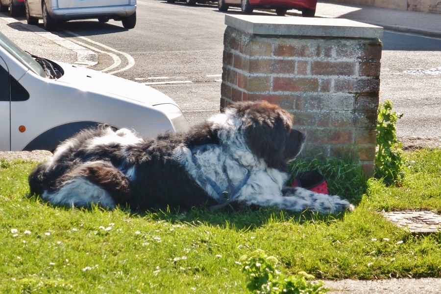 Натиснете снимката за да я уголемите

Име:3.jpg
Прегледи:1
Размер:426.1 КБ
ID:5711163
