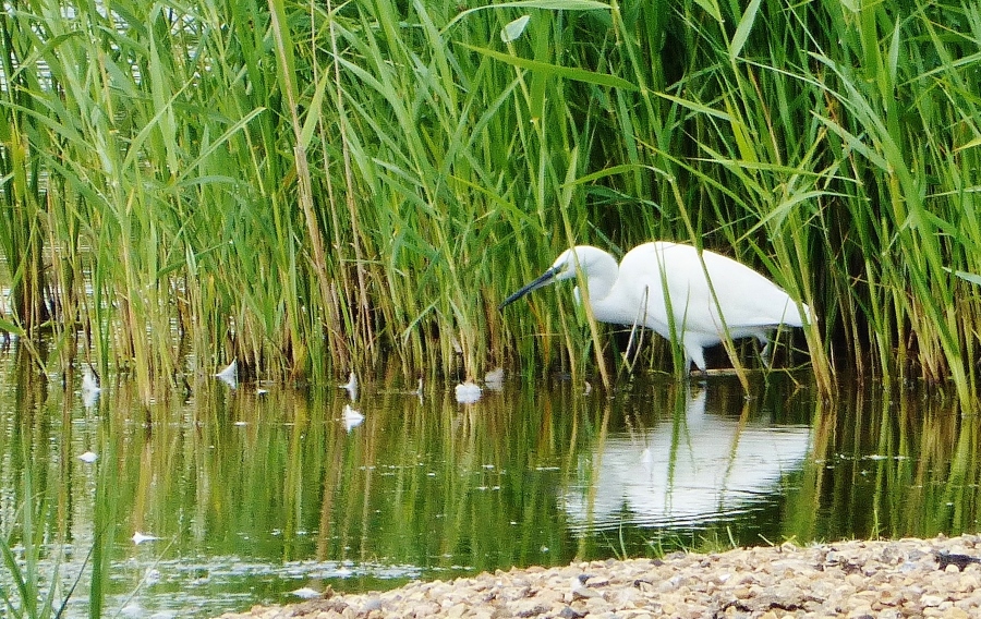 Натиснете снимката за да я уголемите

Име:1 (6).jpg
Прегледи:1
Размер:532.4 КБ
ID:5718396