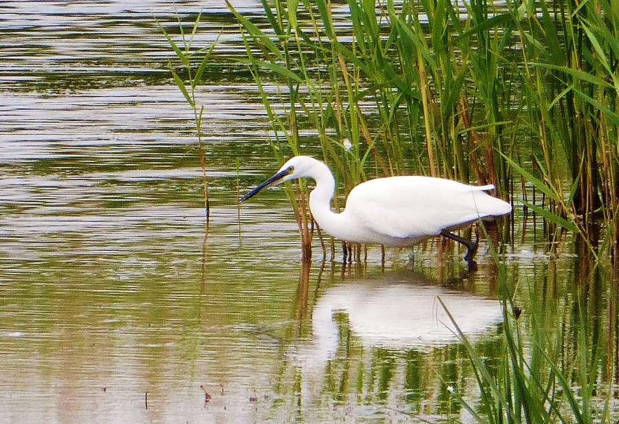 Натиснете снимката за да я уголемите

Име:1 (1).jpg
Прегледи:1
Размер:552.7 КБ
ID:5718397