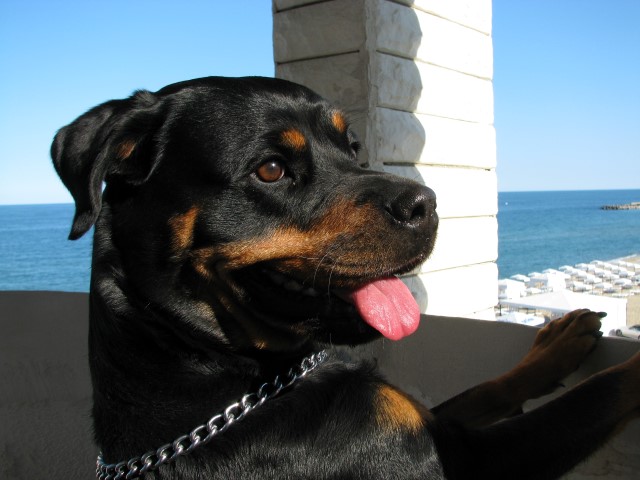 Натиснете снимката за да я уголемите

Име:2016 kabakum 161 (Small).JPG
Прегледи:1
Размер:77.9 КБ
ID:5722933