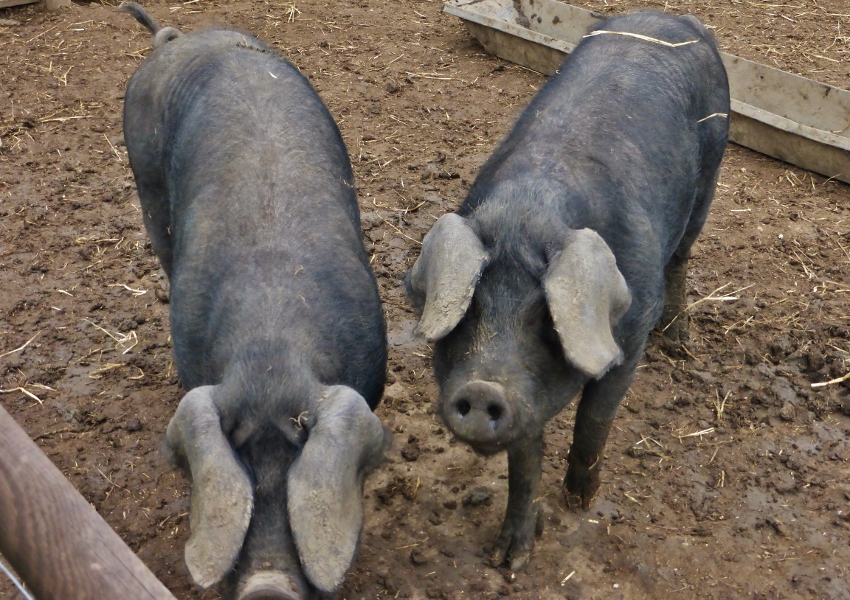 Натиснете снимката за да я уголемите

Име:1.jpg
Прегледи:1
Размер:402.5 КБ
ID:5730420