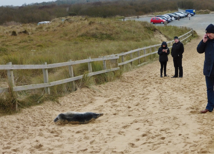 Натиснете снимката за да я уголемите

Име:1 (2) (700x504).jpg
Прегледи:1
Размер:276.7 КБ
ID:5709835