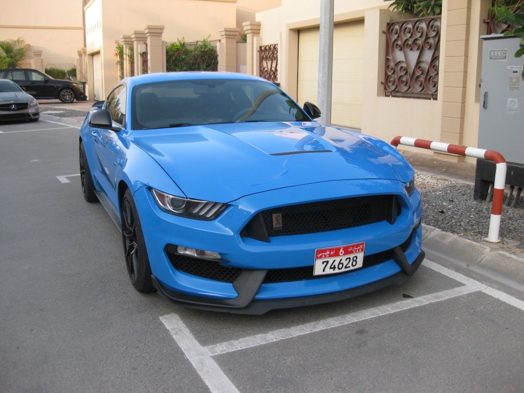 Натиснете снимката за да я уголемите

Име:IMG_8738 (Medium).JPG
Прегледи:198
Размер:149.4 КБ
ID:6534549