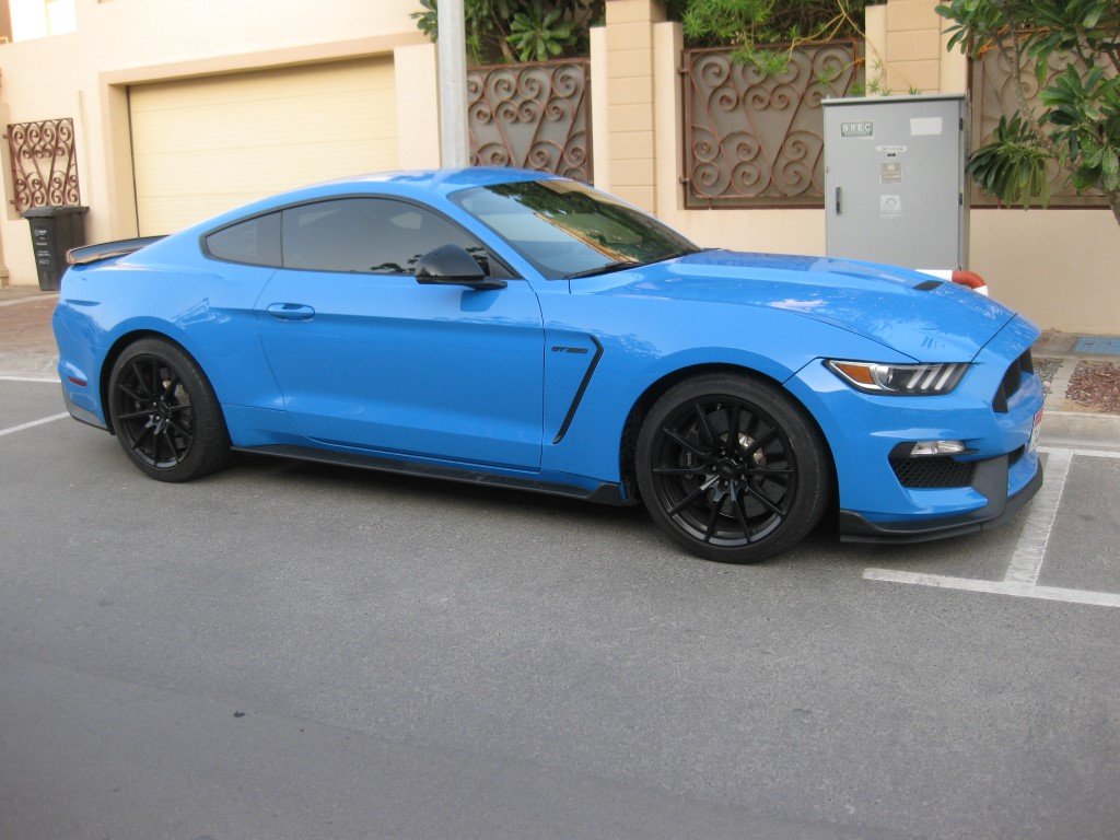 Натиснете снимката за да я уголемите

Име:IMG_8739 (Medium).JPG
Прегледи:201
Размер:146.6 КБ
ID:6534550