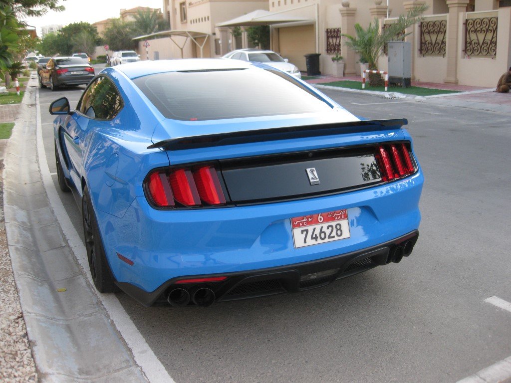 Натиснете снимката за да я уголемите

Име:IMG_8740 (Medium).JPG
Прегледи:197
Размер:157.3 КБ
ID:6534551