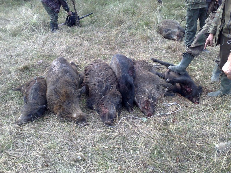 Натиснете снимката за да я уголемите

Име:f516323ee94d.jpg
Прегледи:1
Размер:192.8 КБ
ID:6517295