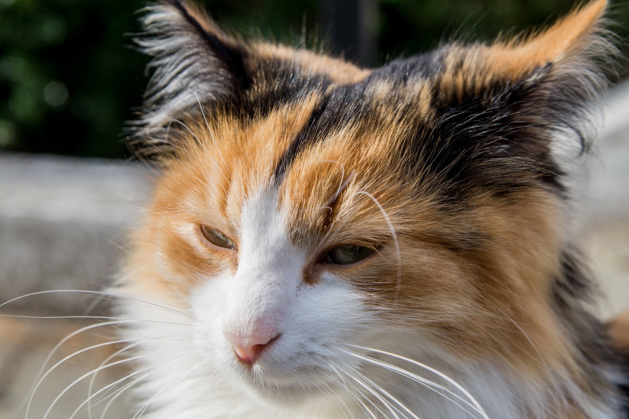 Натиснете снимката за да я уголемите

Име:DSC05520-1.jpg
Прегледи:448
Размер:404.8 КБ
ID:6538716