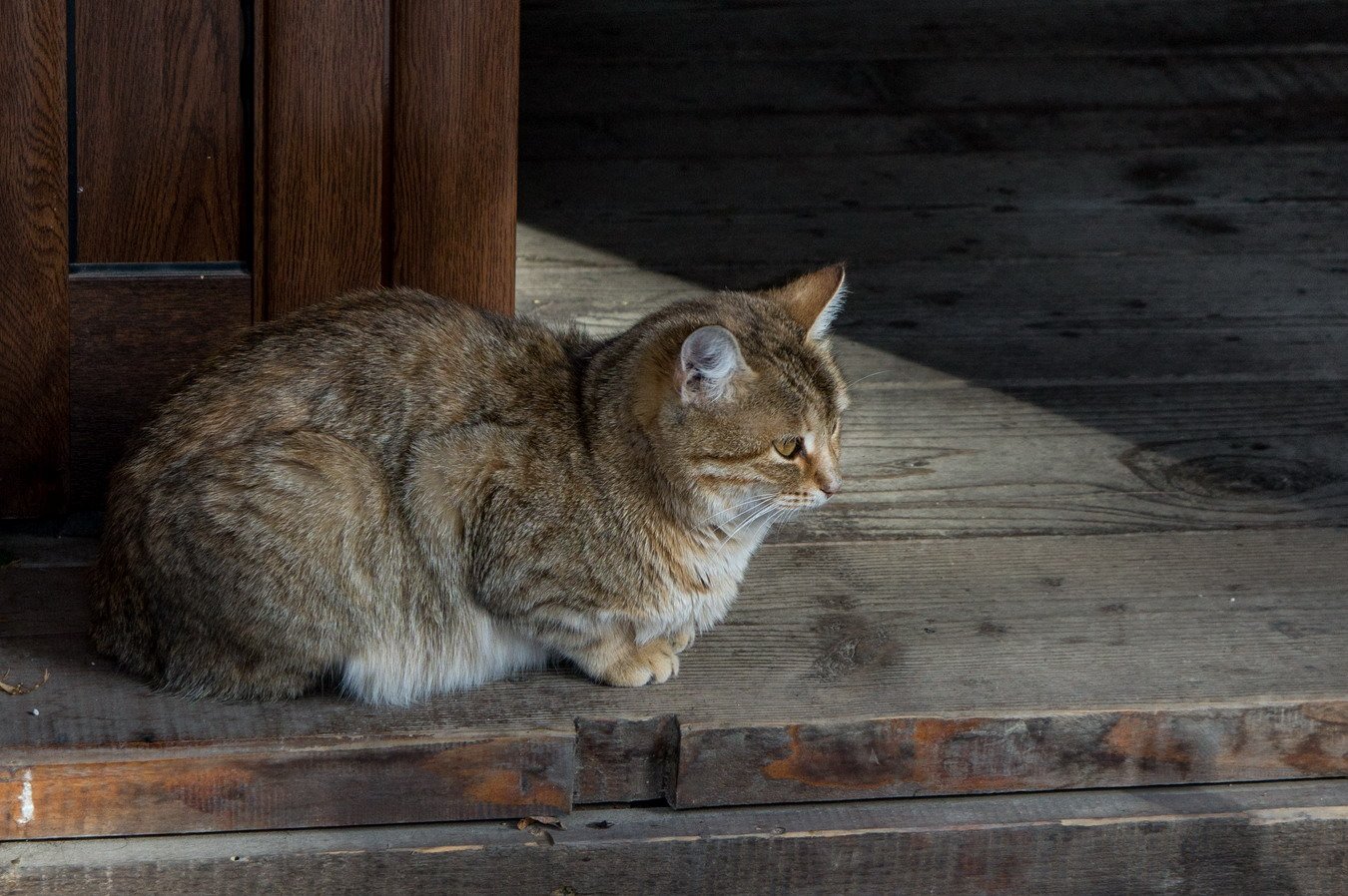 Натиснете снимката за да я уголемите

Име:DSC05524-1.jpg
Прегледи:424
Размер:283.6 КБ
ID:6538717
