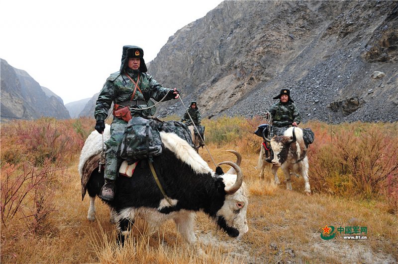 Натиснете снимката за да я уголемите

Име:fear-chinas-yak-mounted-cavalry-1.jpg
Прегледи:1
Размер:297.9 КБ
ID:5807066