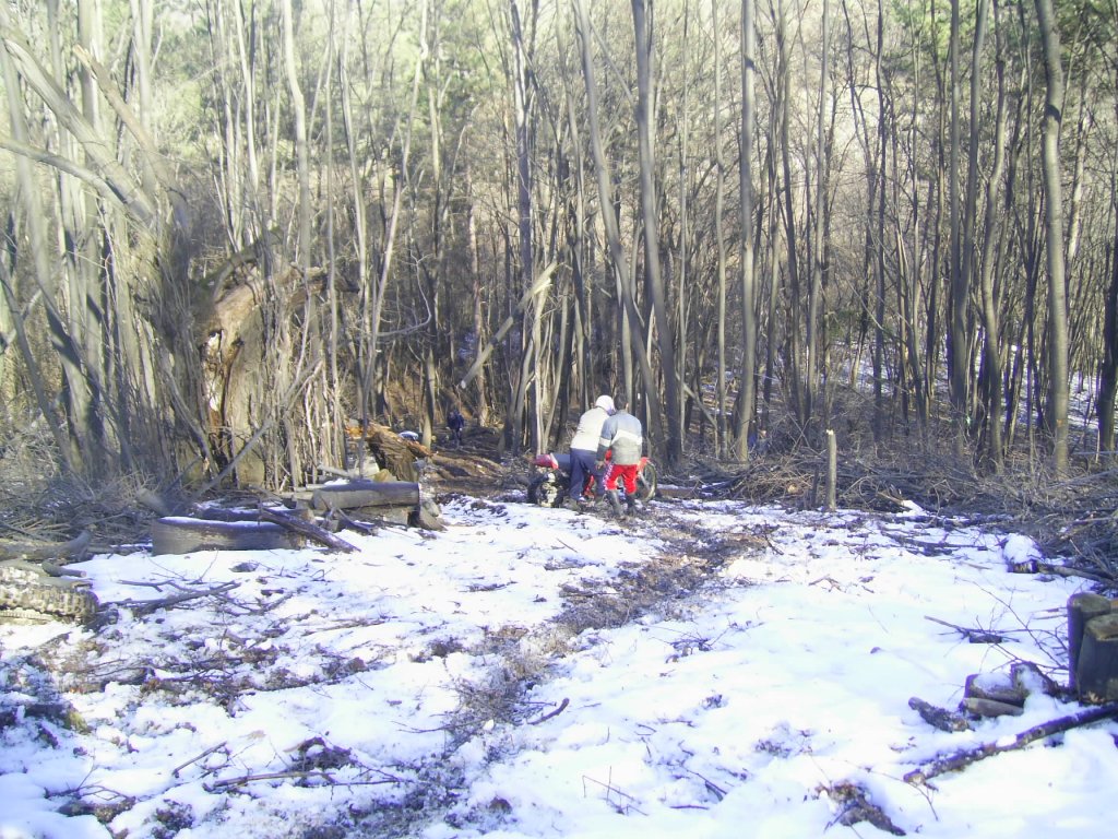 Натиснете снимката за да я уголемите

Име:PIC_0667.jpg
Прегледи:2
Размер:243.5 КБ
ID:5250605