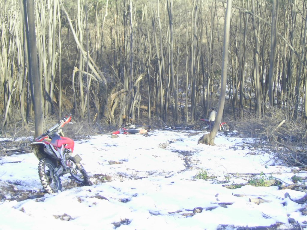 Натиснете снимката за да я уголемите

Име:PIC_0666.jpg
Прегледи:2
Размер:185.4 КБ
ID:5250608