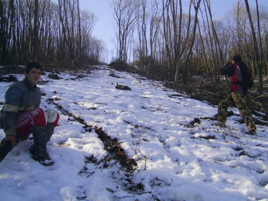 Натиснете снимката за да я уголемите

Име:PIC_0665.jpg
Прегледи:2
Размер:201.0 КБ
ID:5250606