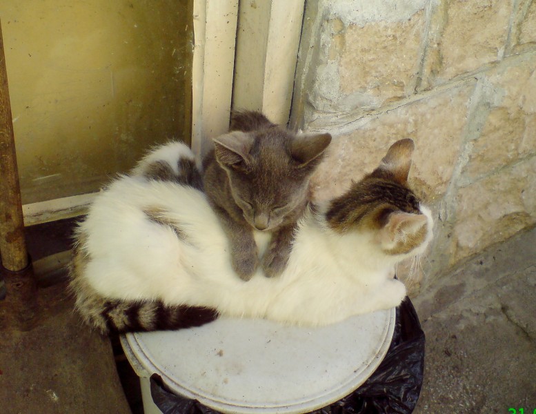 Натиснете снимката за да я уголемите

Име:DSC02643.JPG
Прегледи:1
Размер:109.2 КБ
ID:5611307