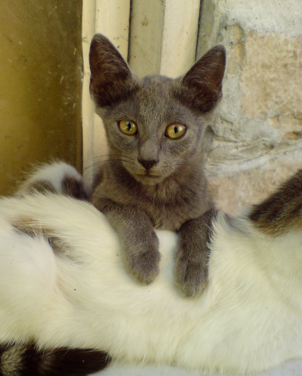 Натиснете снимката за да я уголемите

Име:DSC02644.JPG
Прегледи:1
Размер:141.4 КБ
ID:5611308