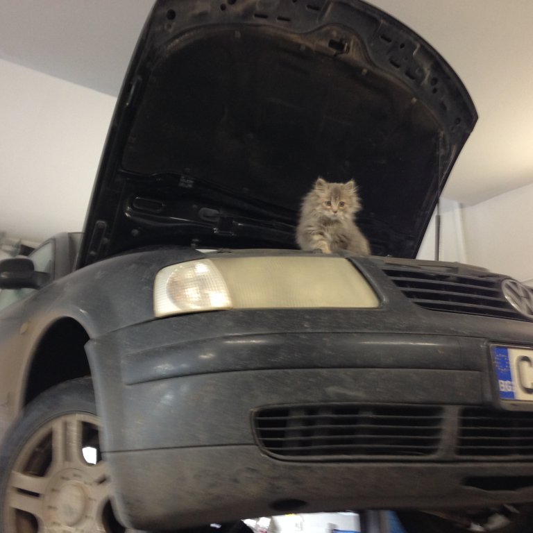 Натиснете снимката за да я уголемите

Име:IMG_1007.jpg
Прегледи:1
Размер:65.5 КБ
ID:5632919