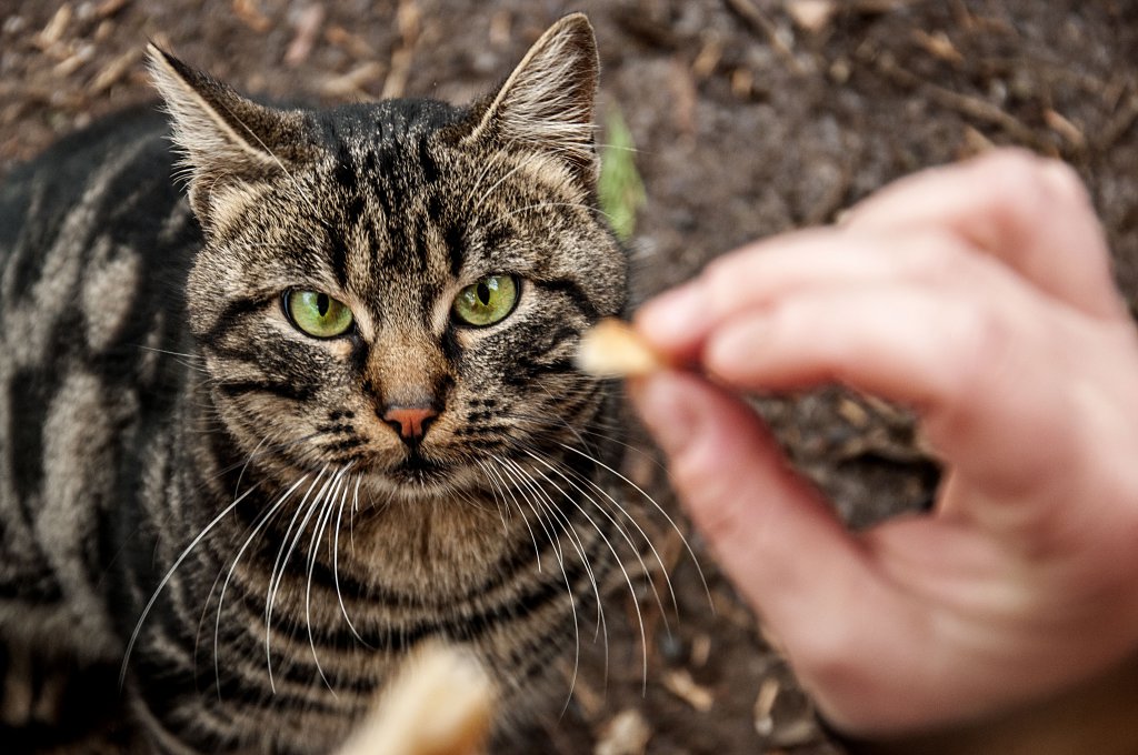 Натиснете снимката за да я уголемите

Име:_DSC0524_1.jpg
Прегледи:1
Размер:144.3 КБ
ID:5633060