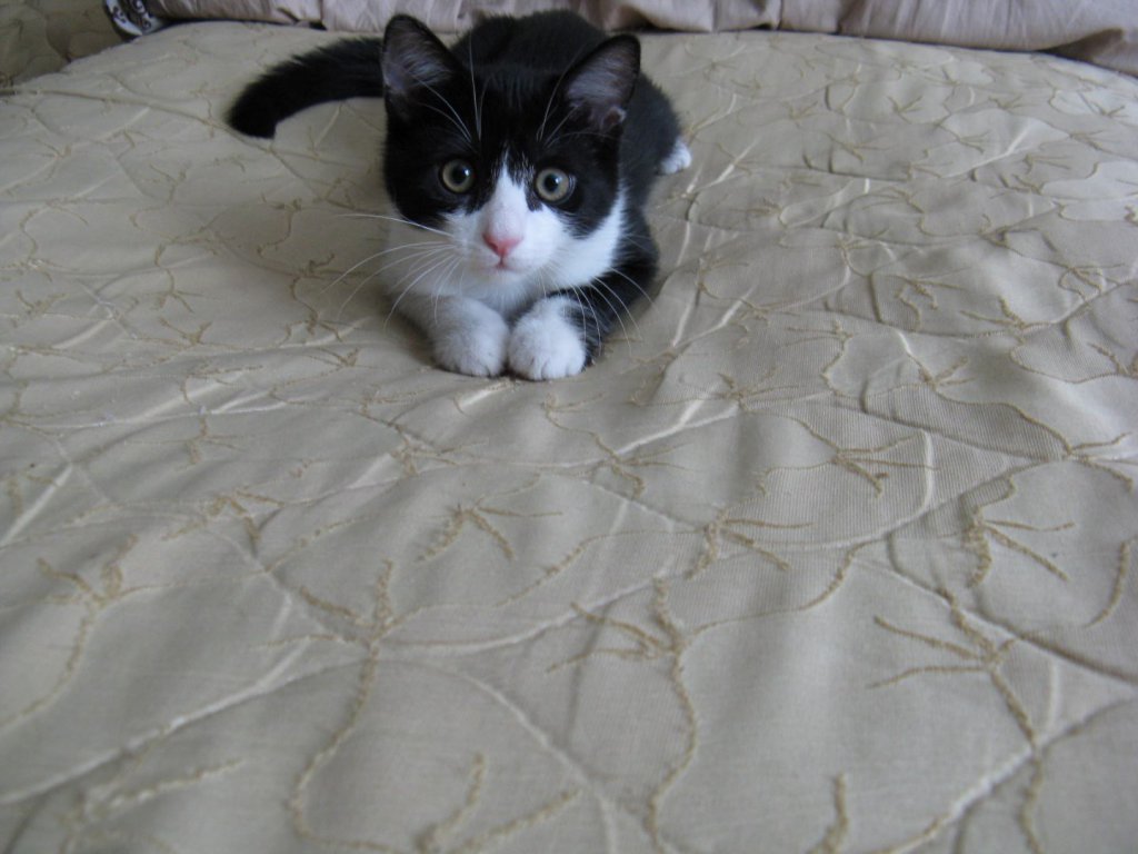 Натиснете снимката за да я уголемите

Име:DESKTOP - IMG_0876.jpg
Прегледи:1
Размер:96.9 КБ
ID:5624753