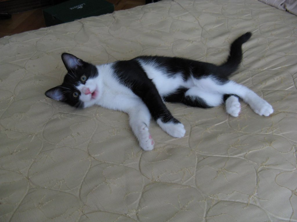 Натиснете снимката за да я уголемите

Име:DESKTOP - IMG_0871.jpg
Прегледи:1
Размер:88.9 КБ
ID:5624754