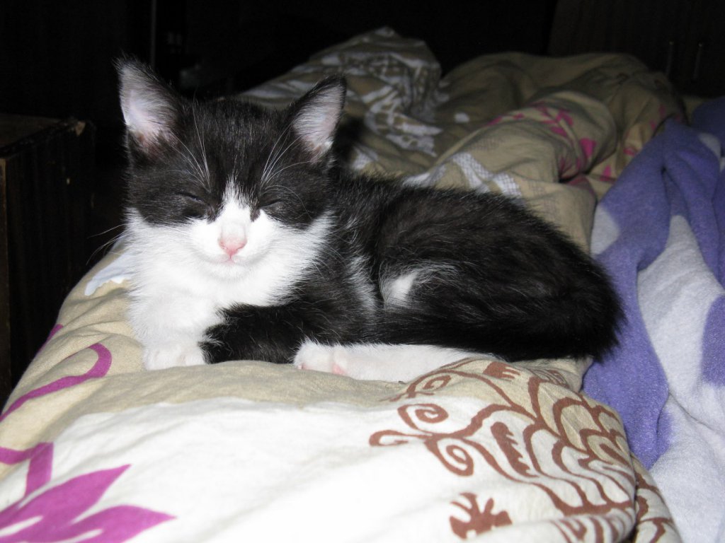 Натиснете снимката за да я уголемите

Име:DESKTOP - IMG_0859.jpg
Прегледи:1
Размер:112.8 КБ
ID:5624755