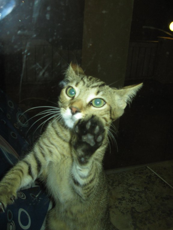 Натиснете снимката за да я уголемите

Име:IMG_0240.jpg
Прегледи:1
Размер:55.3 КБ
ID:5653574