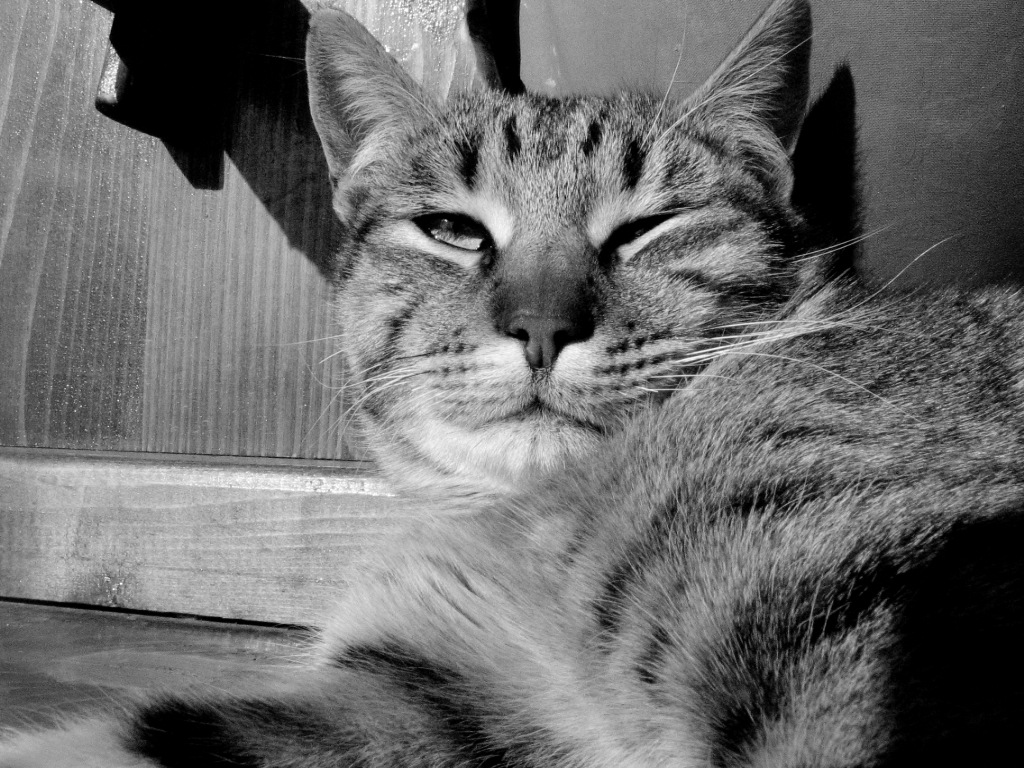 Натиснете снимката за да я уголемите

Име:IMG_7282.JPG
Прегледи:1
Размер:320.6 КБ
ID:5653576