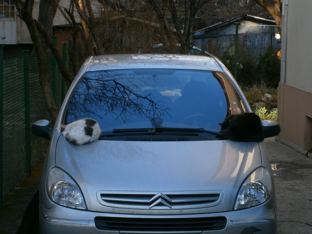 Натиснете снимката за да я уголемите

Име:P3200004.jpg
Прегледи:1
Размер:123.9 КБ
ID:5653577