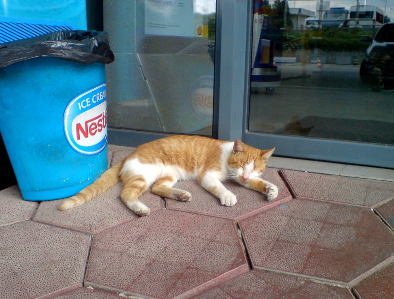 Натиснете снимката за да я уголемите

Име:DSC02583.JPG
Прегледи:1
Размер:135.3 КБ
ID:5611304