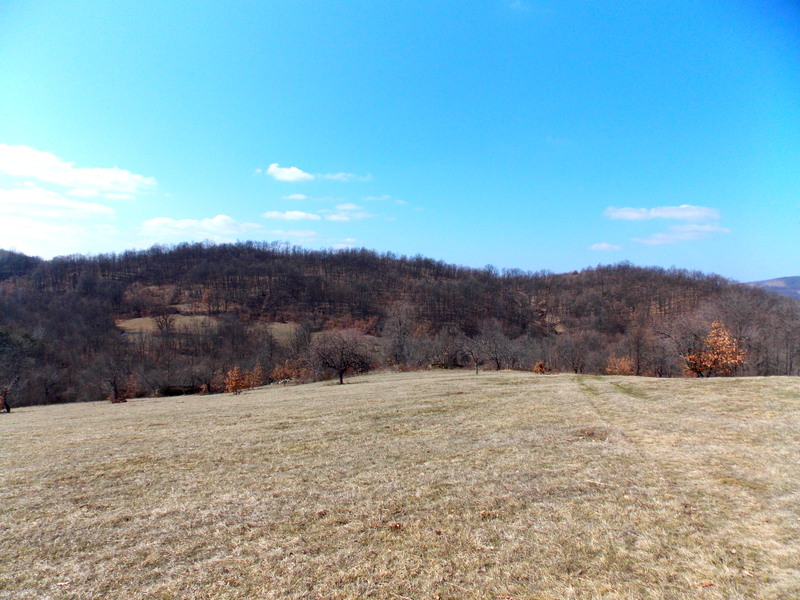 Натиснете снимката за да я уголемите

Име:DSCN2267.JPG
Прегледи:1
Размер:163.9 КБ
ID:5465512