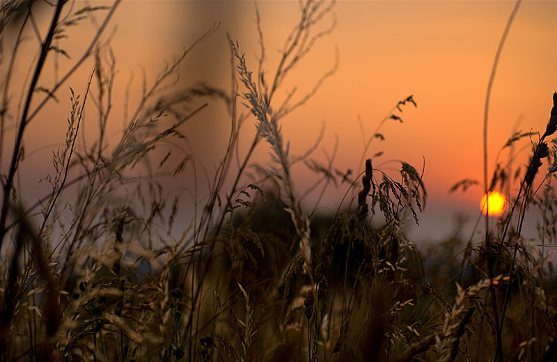 Натиснете снимката за да я уголемите

Име:pic_9997464_0218557.jpg
Прегледи:3
Размер:190.6 КБ
ID:5442648