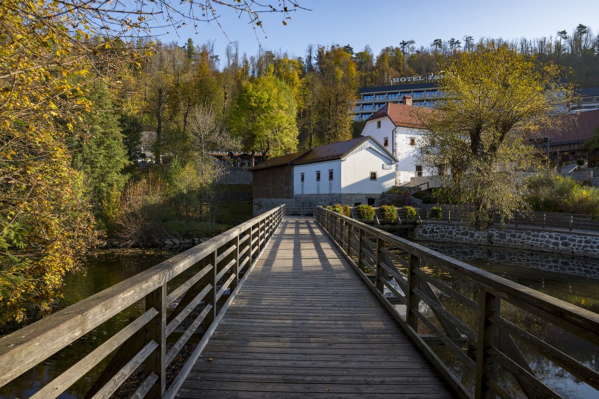 Натиснете снимката за да я уголемите  Име:DSC_6149.jpg Прегледи:0 Размер:349.6 КБ ID:6539714