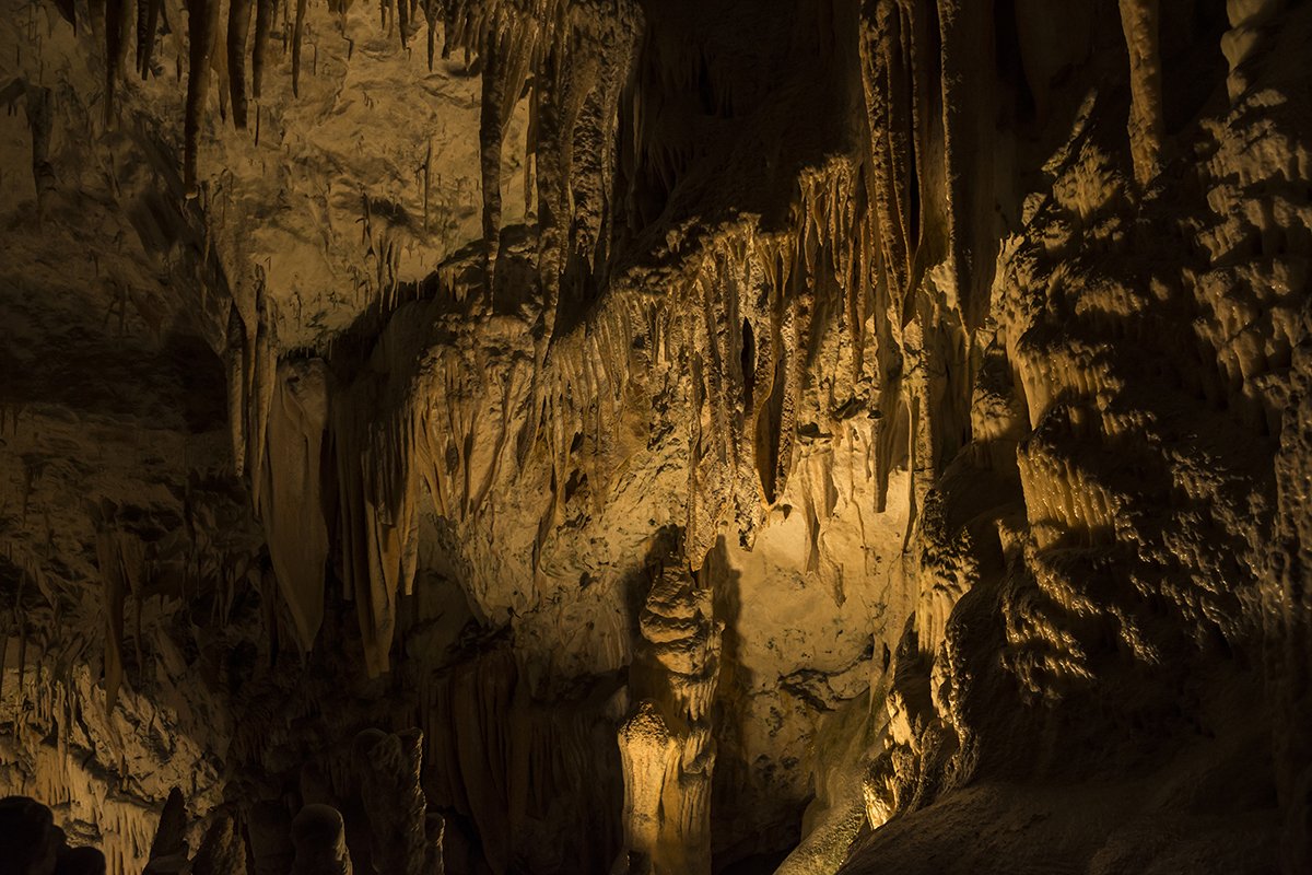 Натиснете снимката за да я уголемите  Име:DSC_6232.jpg Прегледи:0 Размер:215.2 КБ ID:6539729