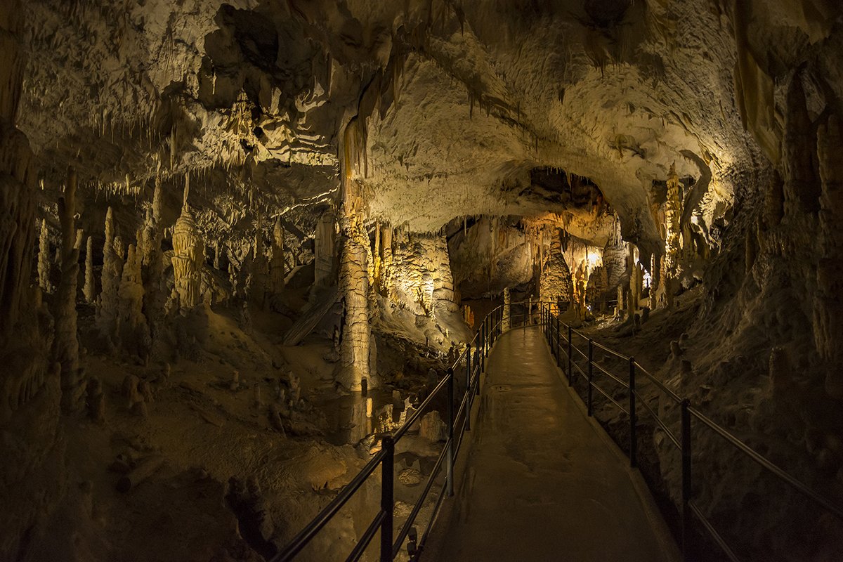 Натиснете снимката за да я уголемите  Име:DSC_6262.jpg Прегледи:0 Размер:222.8 КБ ID:6539732