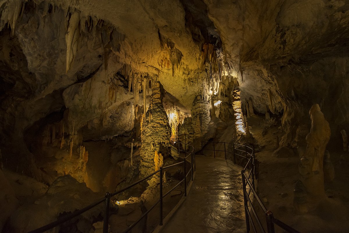 Натиснете снимката за да я уголемите  Име:DSC_6265.jpg Прегледи:0 Размер:180.0 КБ ID:6539733