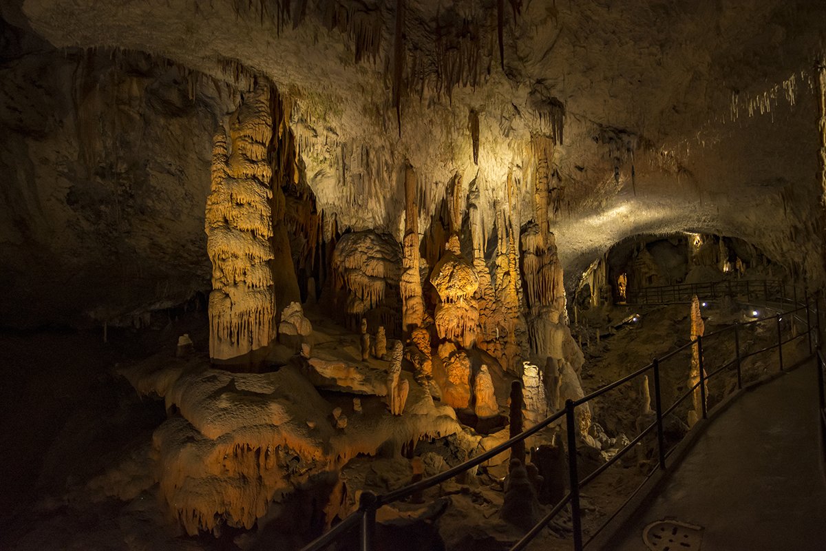 Натиснете снимката за да я уголемите  Име:DSC_6269.jpg Прегледи:0 Размер:201.8 КБ ID:6539734