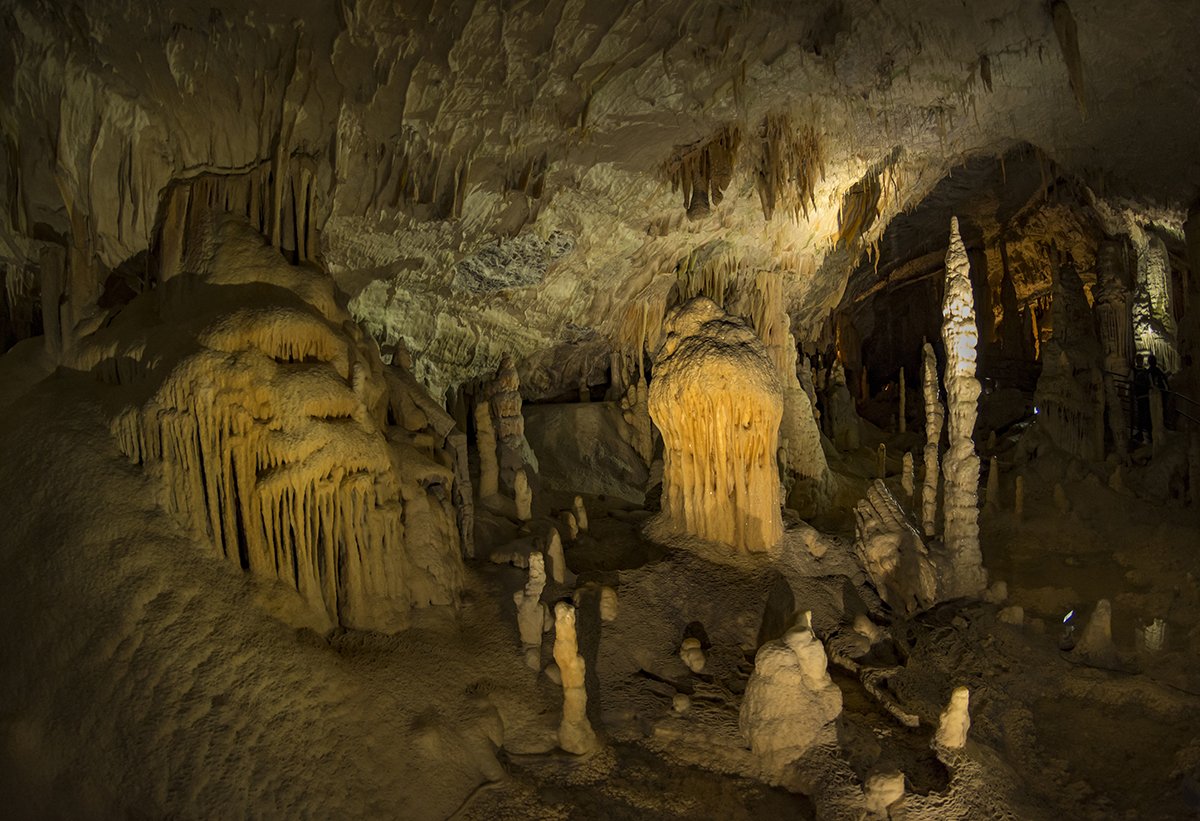 Натиснете снимката за да я уголемите  Име:DSC_6292.jpg Прегледи:0 Размер:209.6 КБ ID:6539738