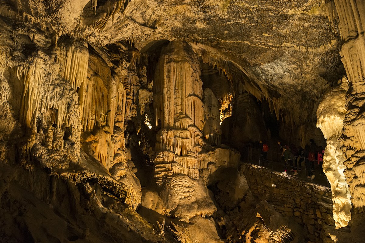 Натиснете снимката за да я уголемите  Име:DSC_6327.jpg Прегледи:0 Размер:305.9 КБ ID:6539743