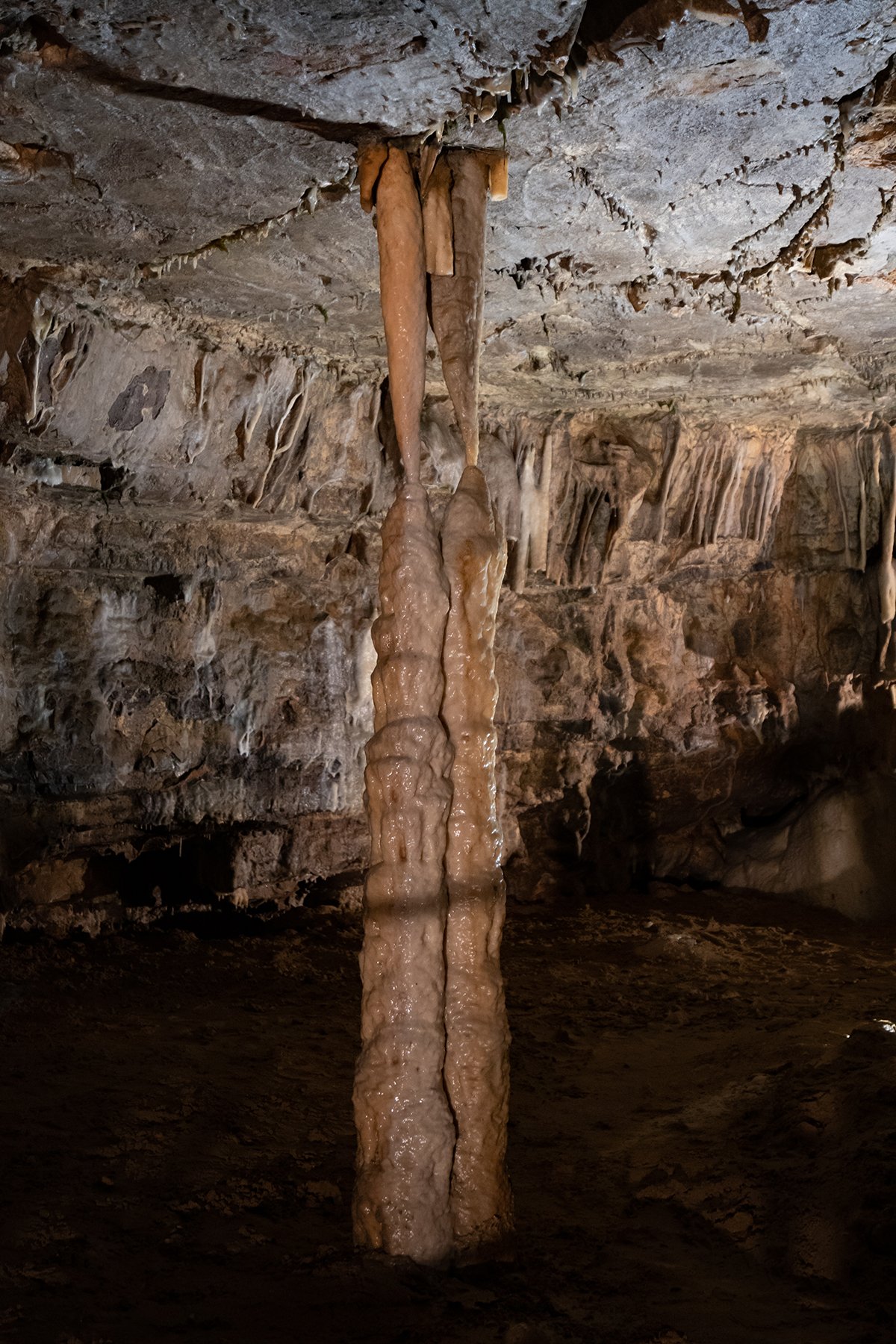 Натиснете снимката за да я уголемите  Име:A6305896.jpg Прегледи:0 Размер:461.5 КБ ID:6539745