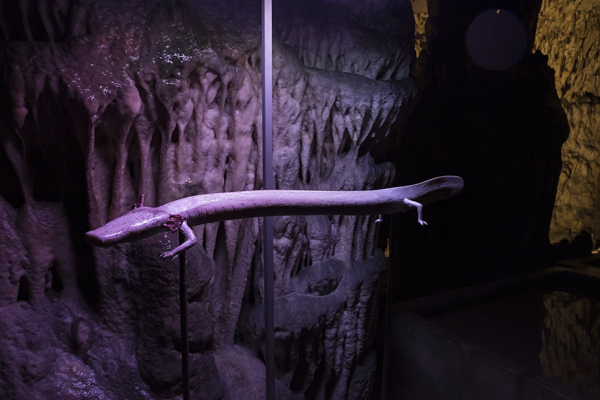 Натиснете снимката за да я уголемите  Име:DSC_6345.jpg Прегледи:0 Размер:141.7 КБ ID:6539755