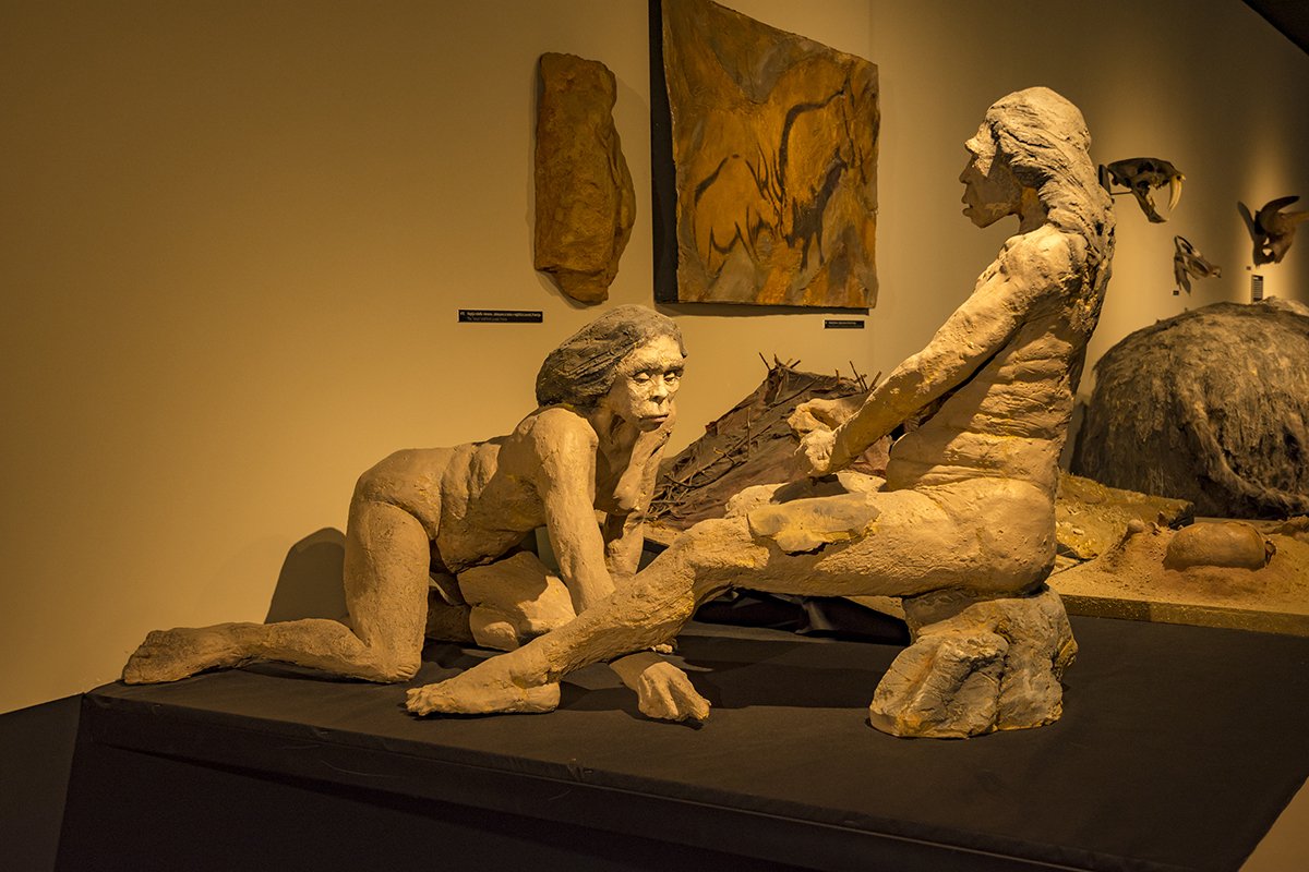 Натиснете снимката за да я уголемите  Име:DSC_6368.jpg Прегледи:0 Размер:158.7 КБ ID:6539760