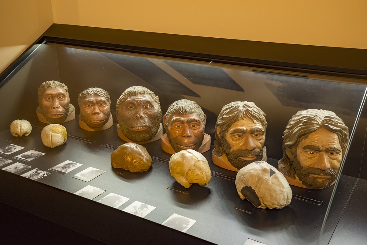 Натиснете снимката за да я уголемите  Име:DSC_6369.jpg Прегледи:0 Размер:157.0 КБ ID:6539761