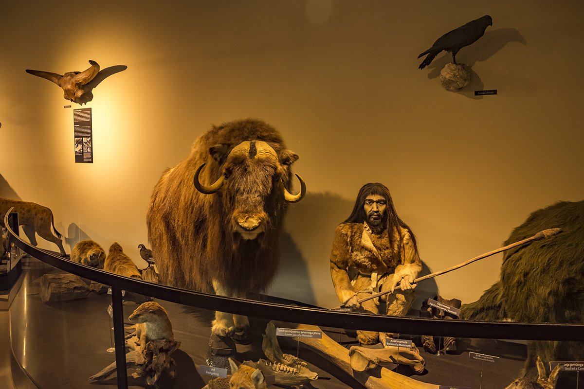 Натиснете снимката за да я уголемите  Име:DSC_6373.jpg Прегледи:0 Размер:160.4 КБ ID:6539762