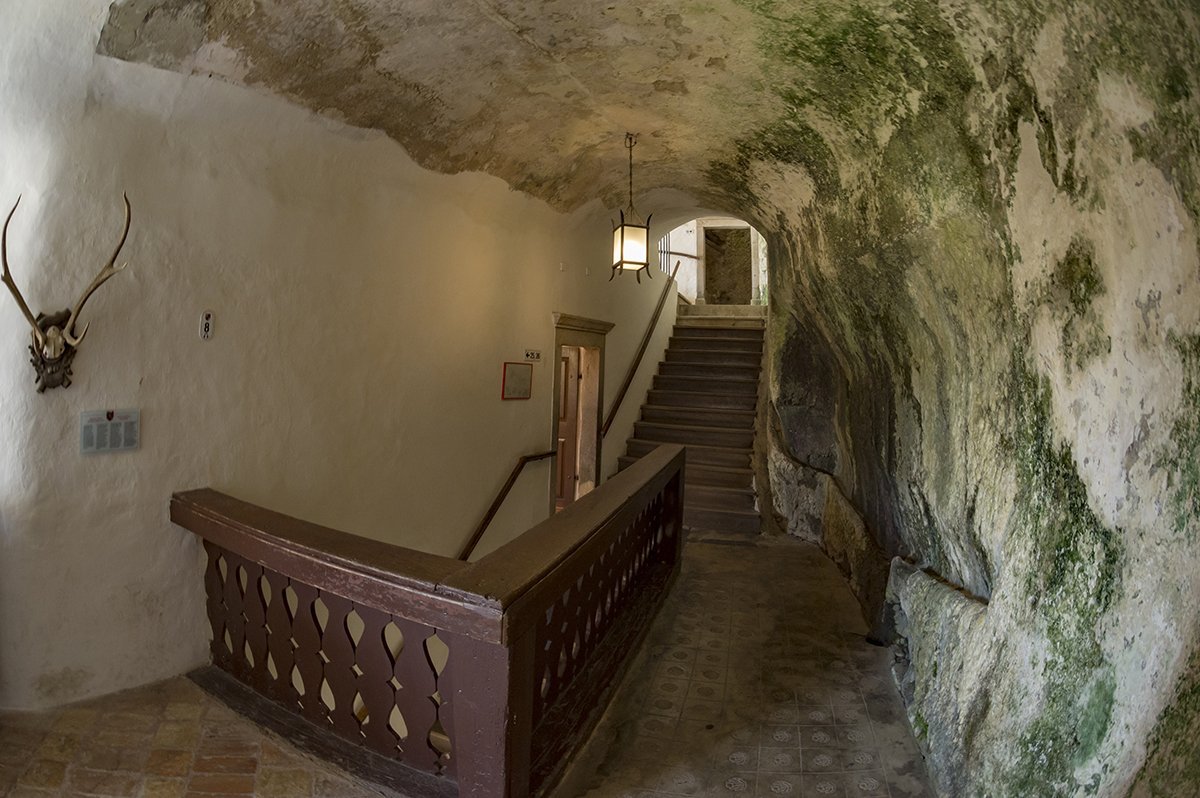 Натиснете снимката за да я уголемите  Име:DSC_6396.jpg Прегледи:0 Размер:184.2 КБ ID:6539791